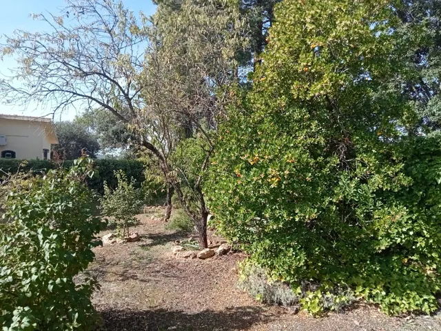 Chalet independiente de una planta con solárium, trastero y jardín consolidado — 17