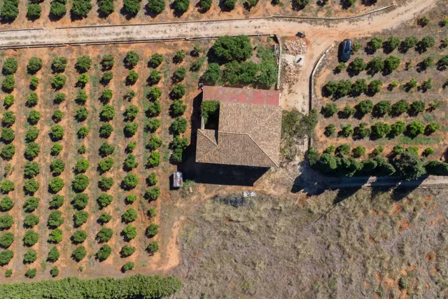 Villa 470m² en venta - El Palmar-Los Molinos — 21