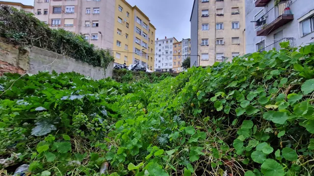 Piso 2 habitaciones 160m² en venta - General Dávila — 7