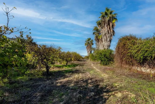 Finca rústica 2 habitaciones 70m² en venta - Costa del Sol — 21