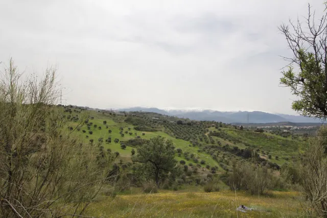 FINCA EN CORTIJO SAN JERÓNIMO (BARTODANO) — 27