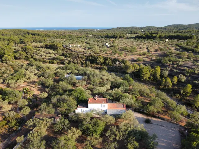 Magnífica finca rústica de 14.000 m2 con casa legalizada, lu - foto 2