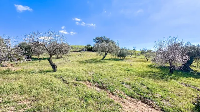 VILLA DE LUJO EN ALMOJÍA. MÁLAGA — 41
