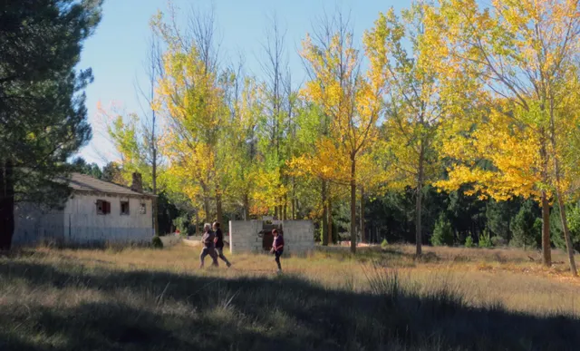 Campamento para reformar en camping o glamping — 30