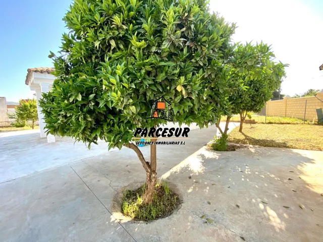 La Barquera - Parcela de 770 m2 con casa de unos 90 m2 — 7