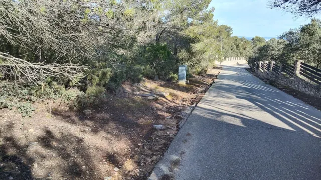 Parcela de 3.600m2, con vistas y llana