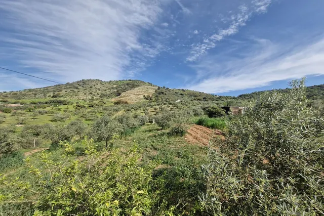 Finca rústica 3 habitaciones 162m² en venta - South of spain — 22