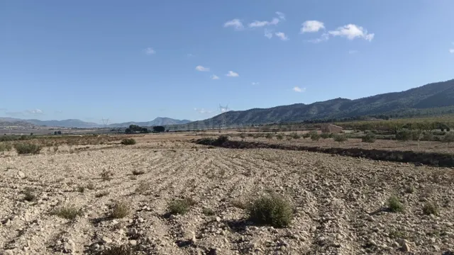 Fincas rurales en venta en Salinas - Comunidad Valenciana - foto 5