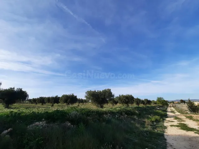 TERRENO PARA SU CASA DE CAMPO EN CANTO BLANCO - foto 2