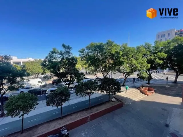 Alquiler de piso frente a plaza de armas, en Sevilla — 2