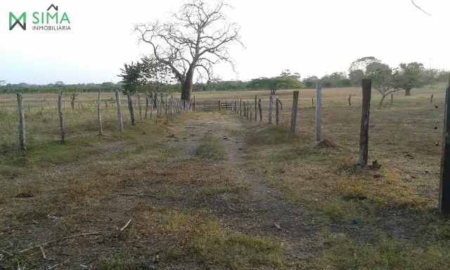 SE VENDE FINCA GANADERA EN EL MUNICIPIO DE MAHATES BOLIVAR — 18