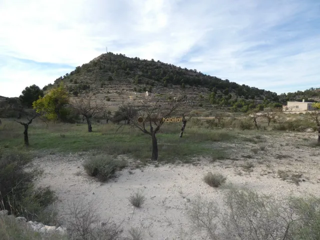 Parcela de 10.041m2 en Monovar - Collado Victoriano — 5