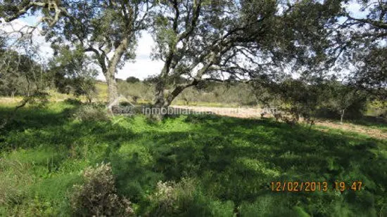 Se vende Parcela de 8.200 m2 vallado, en Arroyo de la Luz - foto 3