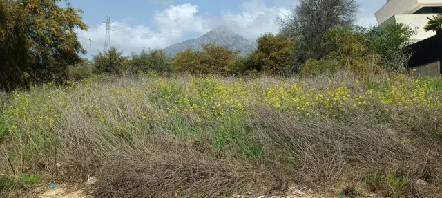 Parcela de 1426 m² para inversión en Nagüeles, Marbella — 3