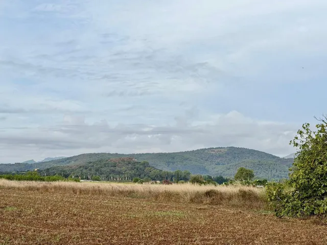 Terreno rural en venta - Pobla (Sa) — 9