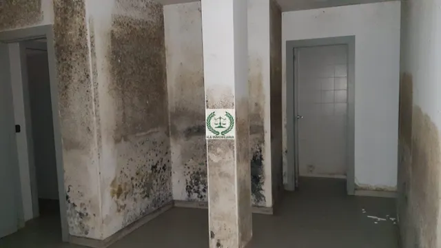 SE VENDE LOCAL COMERCIAL EN EL VELLÓN — 16
