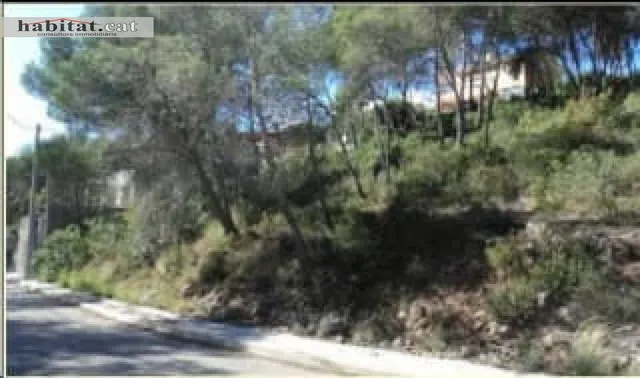 ¡¡ PARCELA EN OLIVELLA - CAN SURIA!! — 9