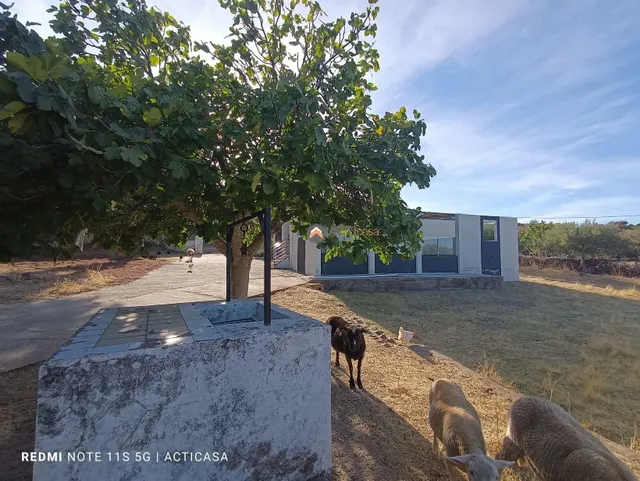 FINCA RÚSTICA CON VIVIENDA EN SIERRA DE FUENTES — 4