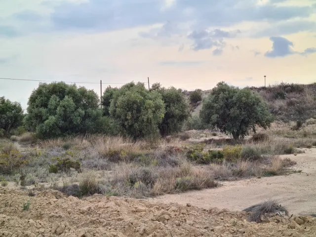 SE VENDE TERRENO EN LA ALCORAYA, ALICANTE.SEVENDGROUP.COM — 9