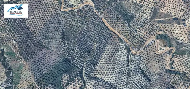 Venta de Finca Rústica en Torredonjimeno (Jaén) - foto 2
