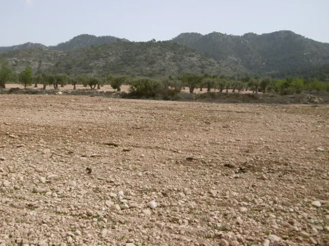 Parcela en venta - Ayuntamiento - foto 2
