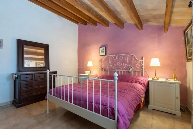 FINCA RÚSTICA EN VENTA EN LA VALL DEN MARCH (POLLENSA) - foto 5