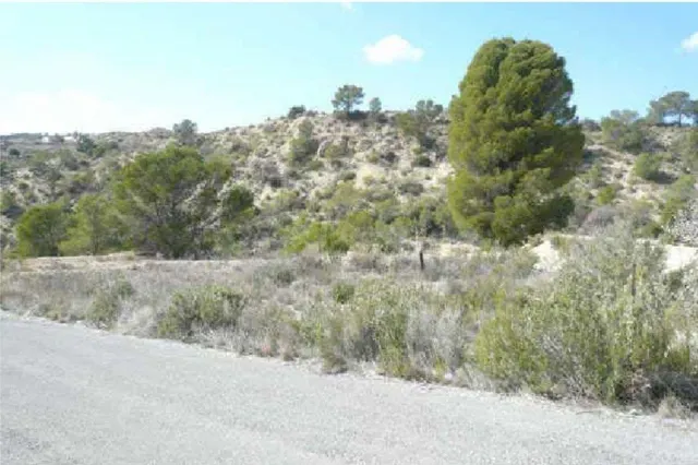Suelo no urbanizable en venta en pre. los zarates poligono 4 - foto 2