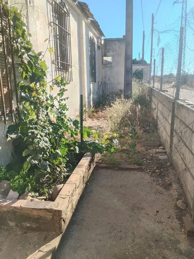 Oportunidad de Inversión Parcela en Crta. Aeropuerto por 45. - foto 2