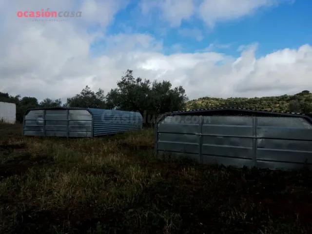 FINCA RUSTICA DE OLIVOS CON CORTIJOS Y NAVES - foto 5