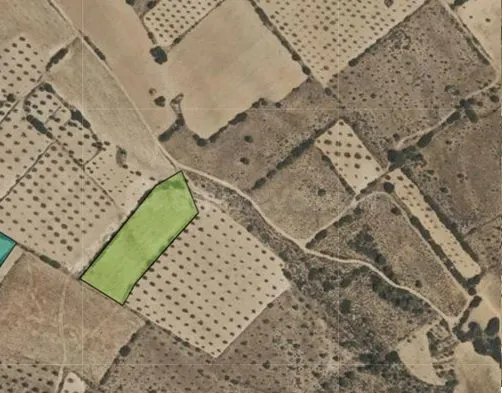 Parcela en venta - Ayuntamiento - foto 4