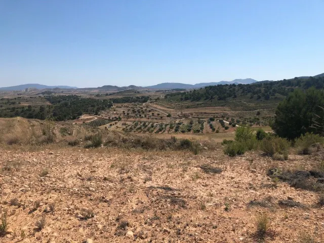 Parcela en venta - Extremadura - foto 2