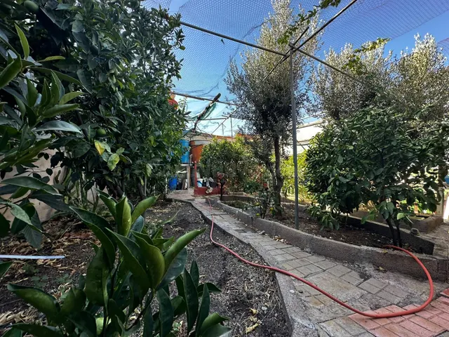 Casa ubicada en el Rincón bajo de Tejeda — 5