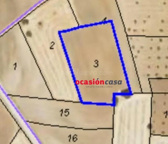 PARCELA DE SIEMBRA A LA VENTA EN VALSEQUILLO - foto 2