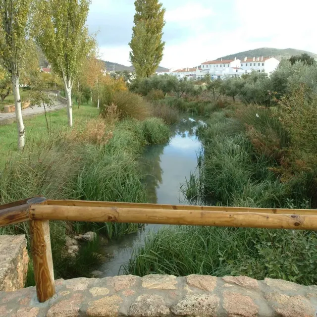 Finca rústica 7 habitaciones 443m² en venta - Andalucia — 46