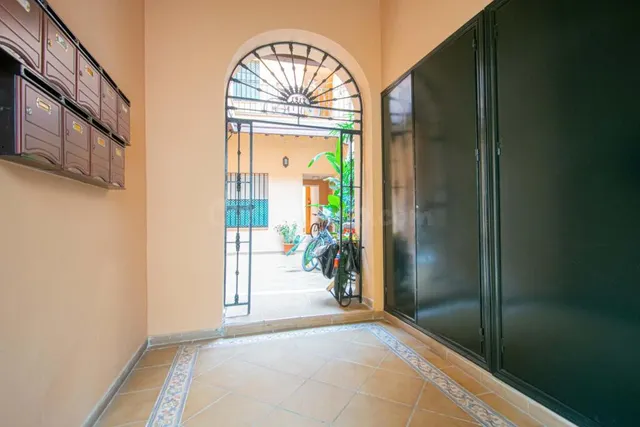 Precioso apartamento junto Calle Feria!!! — 18