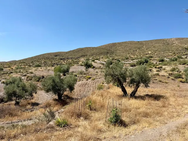 ✨ Cortijo en plena naturaleza con 42.000 m2 de terreno, plac - foto 5