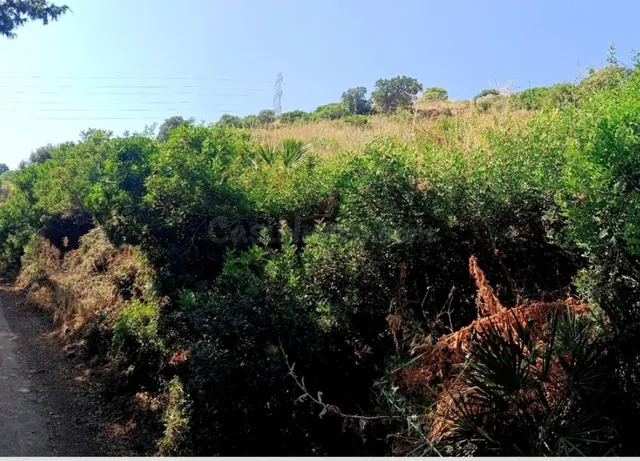 Parcela de 21.000 m2 en Estepona para proyectos únicos