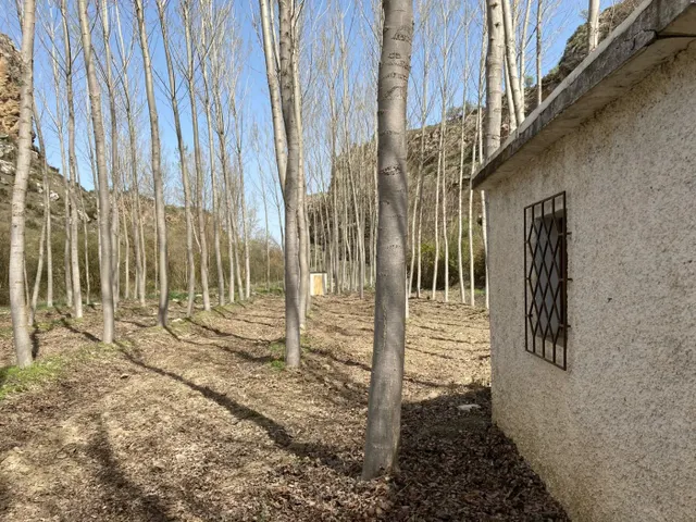 Los Tajos, monumento natural con casa y chiringuito. Finca en Alhama de Granada. — 41