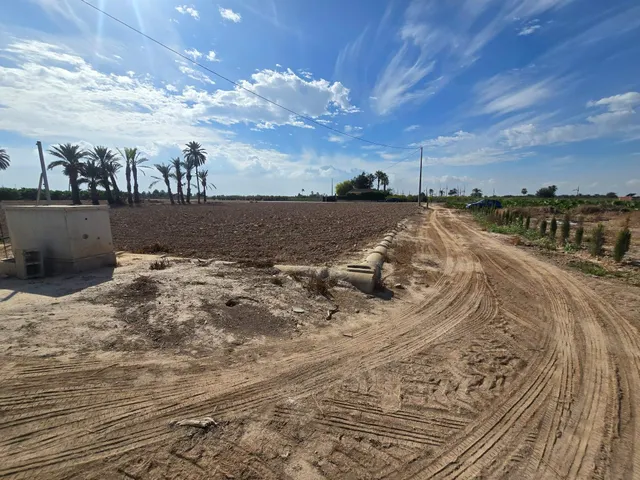 PARCELA CON LUZ Y AGUA DE GOTEO CON CONTADOR — 10