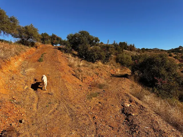 Parcela rural 5.000 m² en Fuengirola con vistas panorámicas y privacidad total — 9