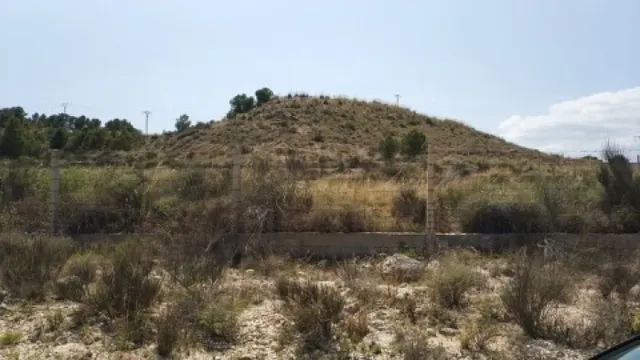 Parcela terreno 10.000 — 2