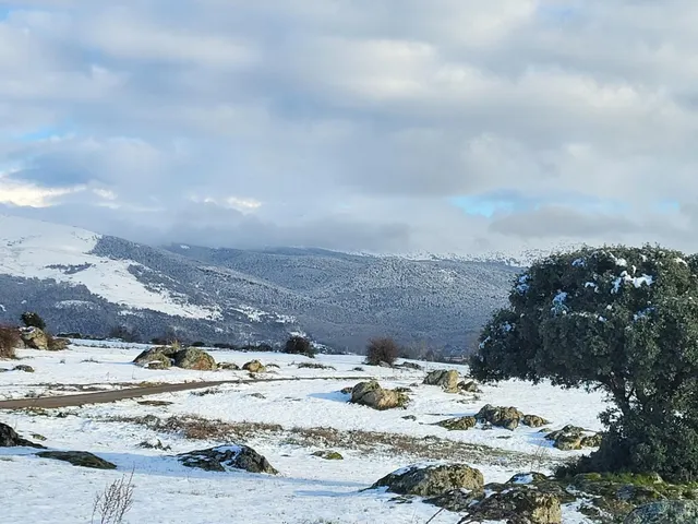 VENDEMOS PRECIOSA FINCA RÚSTICA A LOS PIES DE LA ATALAYA. — 2