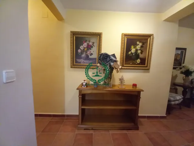 SE VENDE CHALET INDEPENDIENTE EN VENTURADA (SIERRA NORTE)  . JARDIN Y TERRAZA — 17