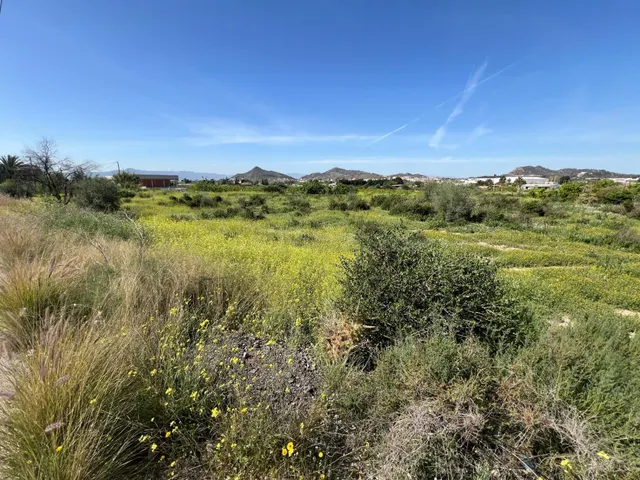 Terreno rural 4 habitaciones en venta - Cobatillas — 4