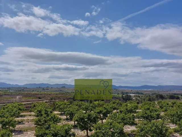 Espectacular Finca en Venta en Bèlgida — 29