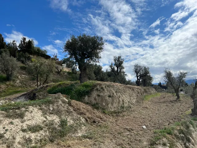 Un rincón de paz y futuro en Alhendín (SOLAR URBANIZABLE) — 18
