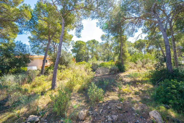 Solar edificable con proyecto en Cala Vinyes — 9