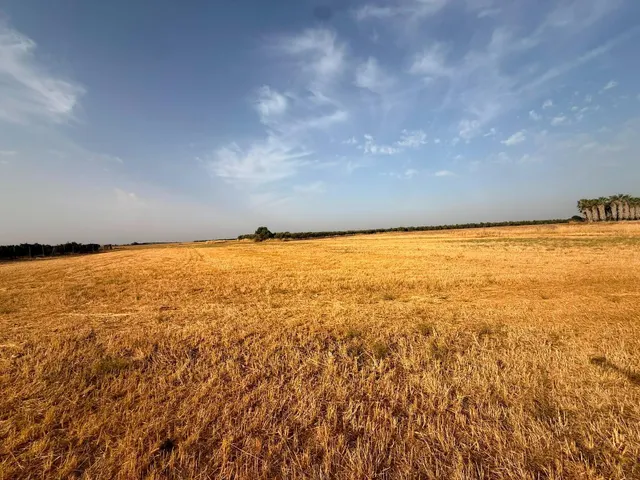 FINCA RÚSTICA CON PISCINA Y POZO LEGAL EN LA FUENCUBIERTA (LA CARLOTA)!!!! — 7
