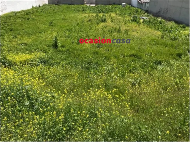 2 SOLARES DE 450 M2 CADA UNO A LA VENTA EN BELMEZ — 5