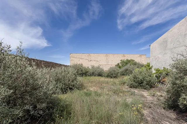 ESTUPENDO SOLAR URBANO CON NAVE EN PEDRO MARTÍNEZ — 16